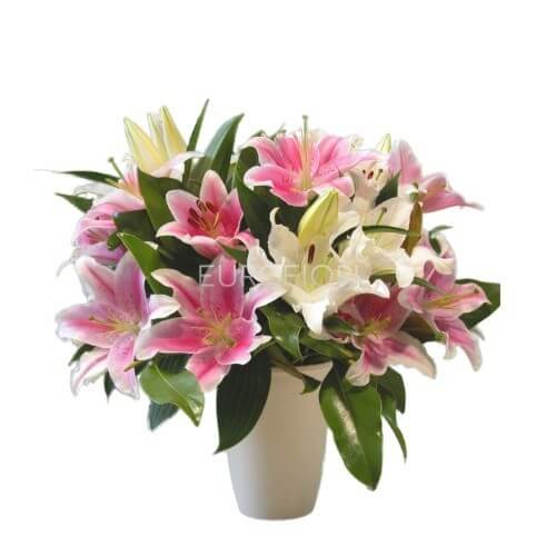 Mazzo di lilium bianco e rosa Mazzo di lilium bianco e rosa