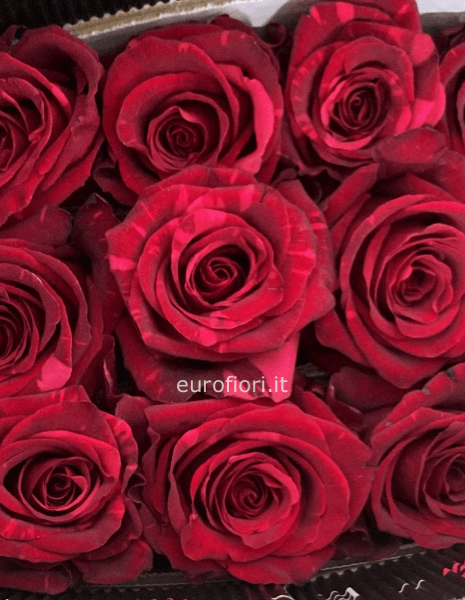 Mazzo Rose rosse da comporre a stelo Mazzo Rose rosse da comporre a stelo